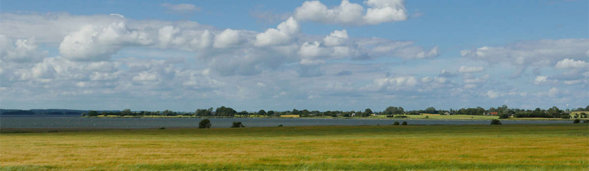 Company Register Germany